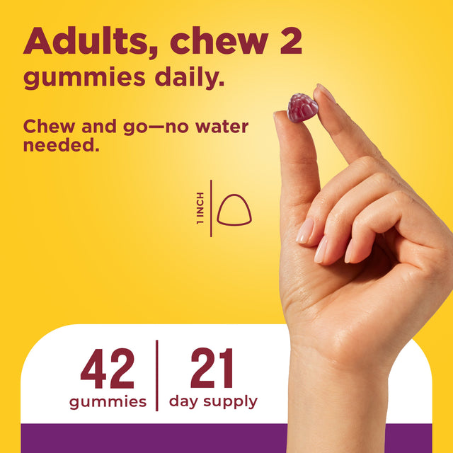 Digestive Probiotics 8 Billion CFU per 2 Probiotic Gummies