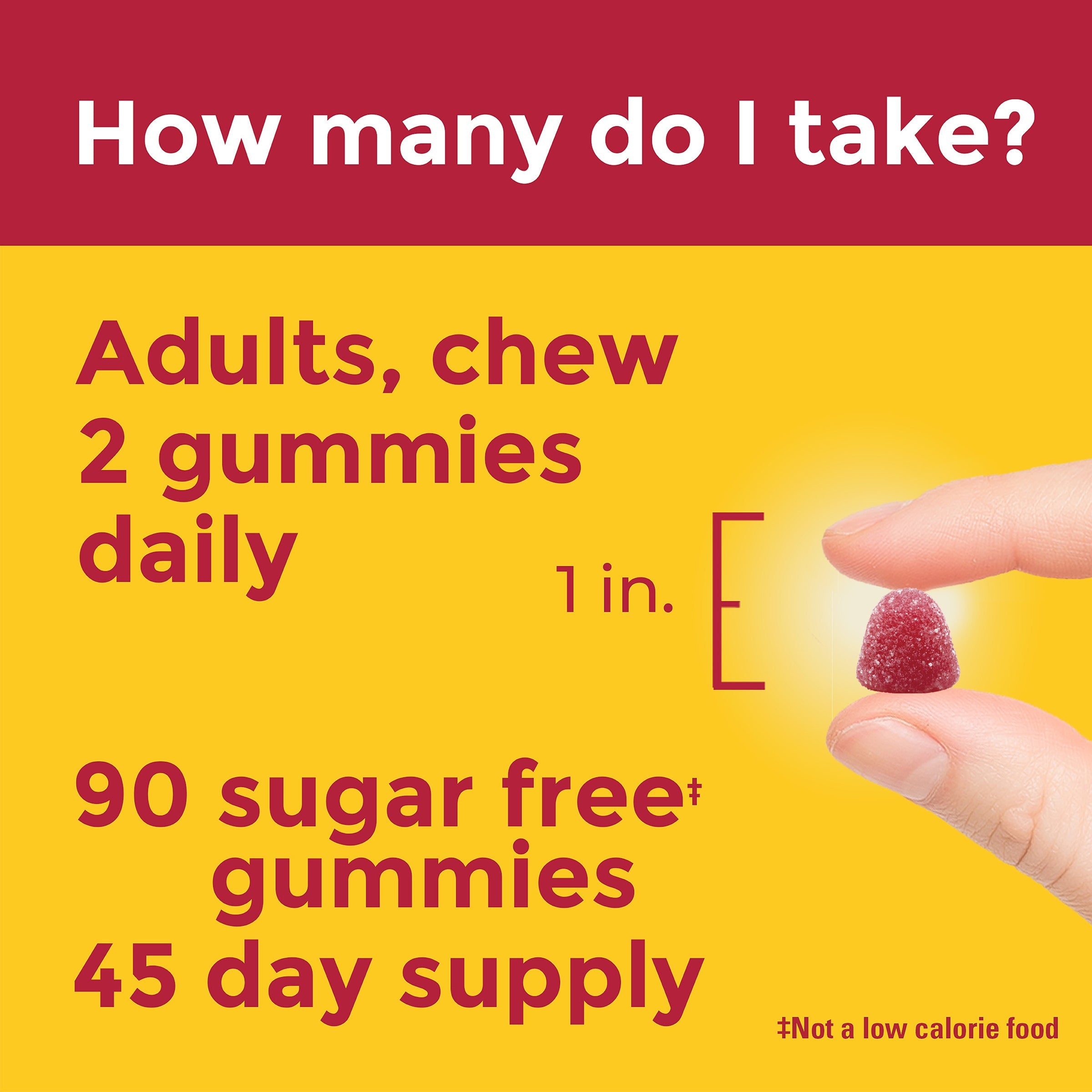 Zero Sugar‡ Multivitamin Gummies