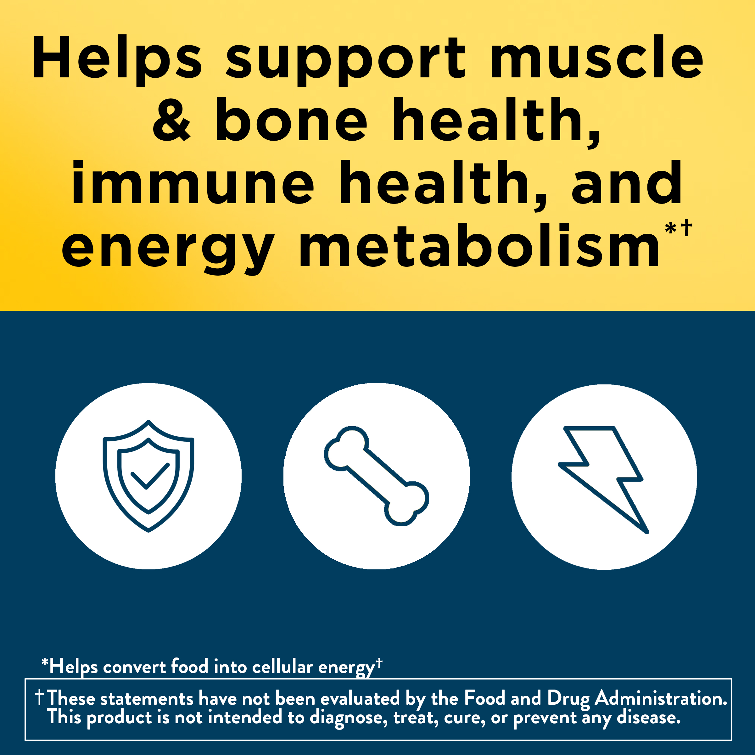 Men's Multivitamin 50+ Tablets