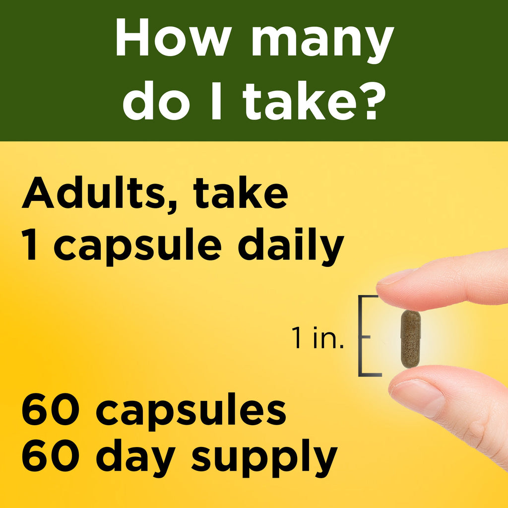 Ashwagandha Capsules