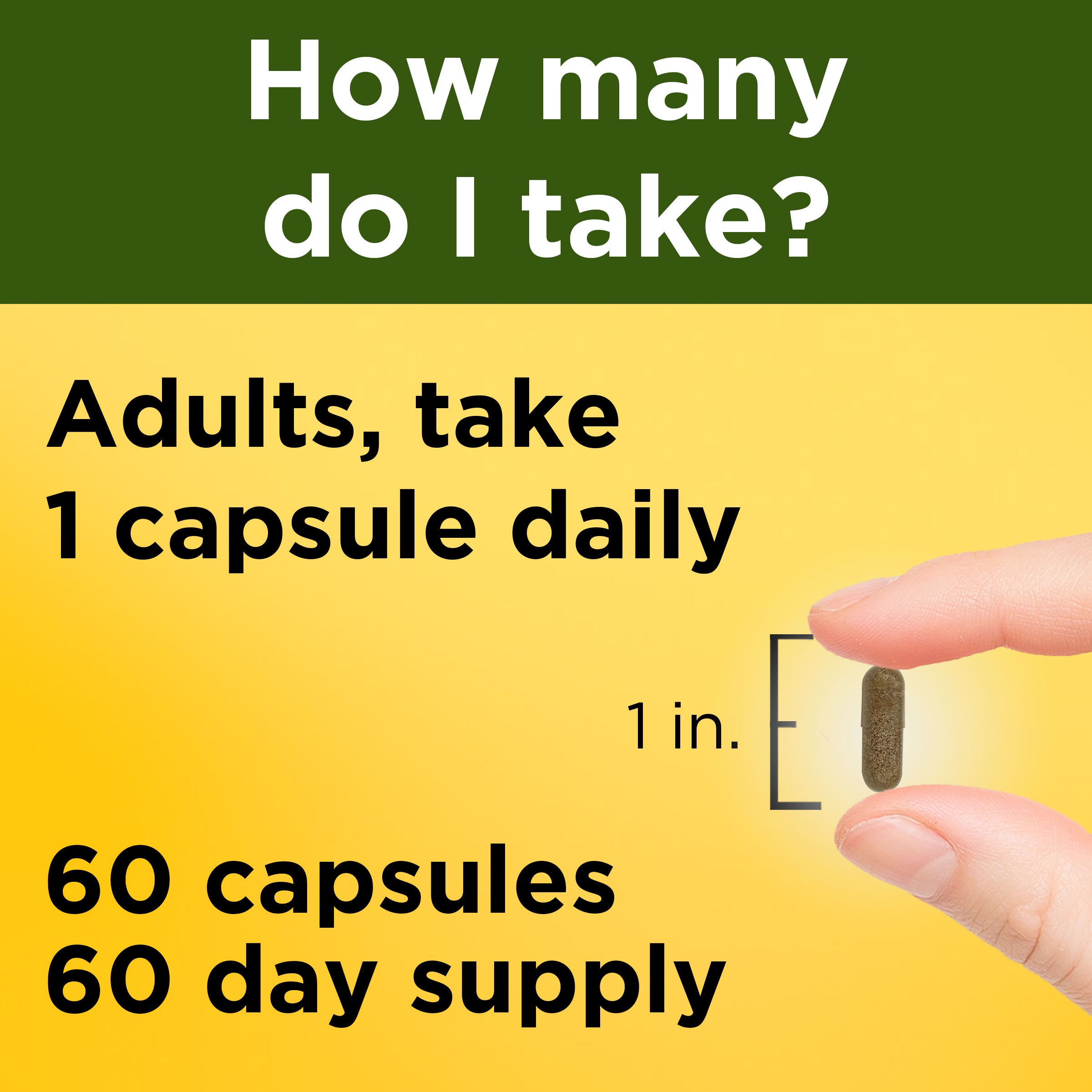 Ashwagandha Capsules