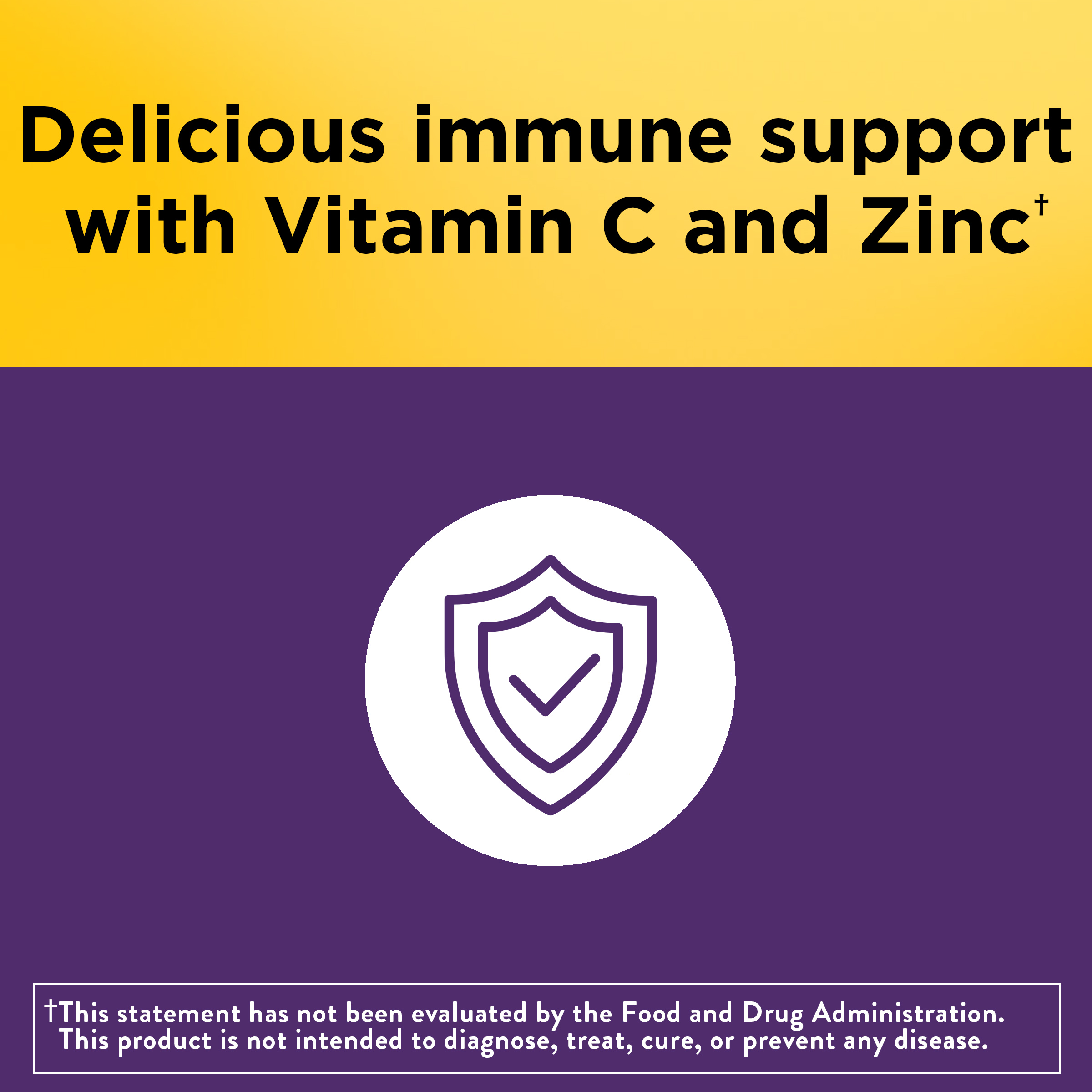 Elderberry Capsules with Vitamin C and Zinc