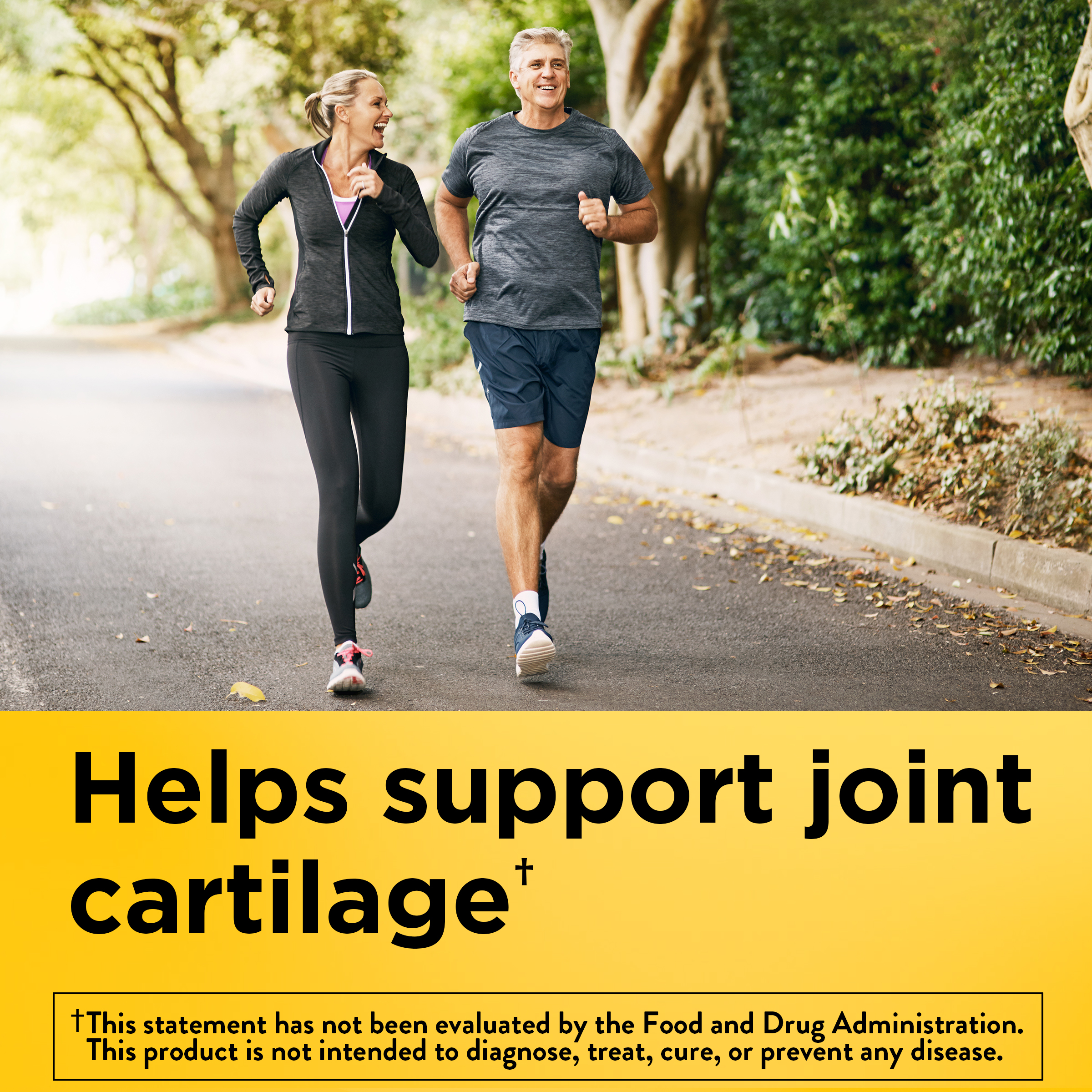 Glucosamine Chondroitin Complex with MSM Triple Strength‡ + Vitamin D3