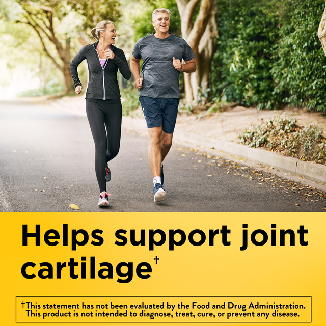 Glucosamine Chondroitin Complex with MSM Triple Strength‡ + Vitamin D3