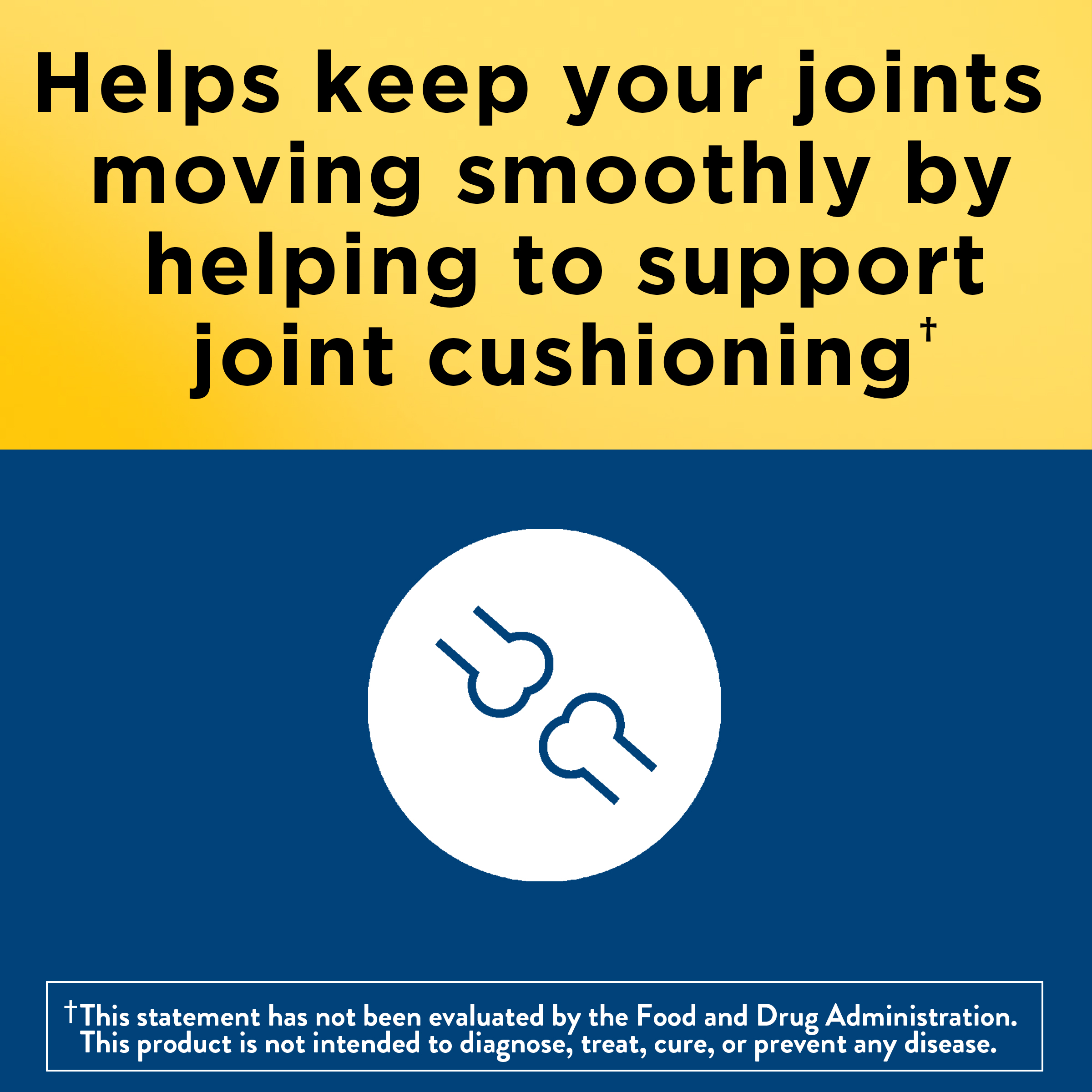 Glucosamine Chondroitin Complex with MSM Triple Strength‡ + Vitamin D3