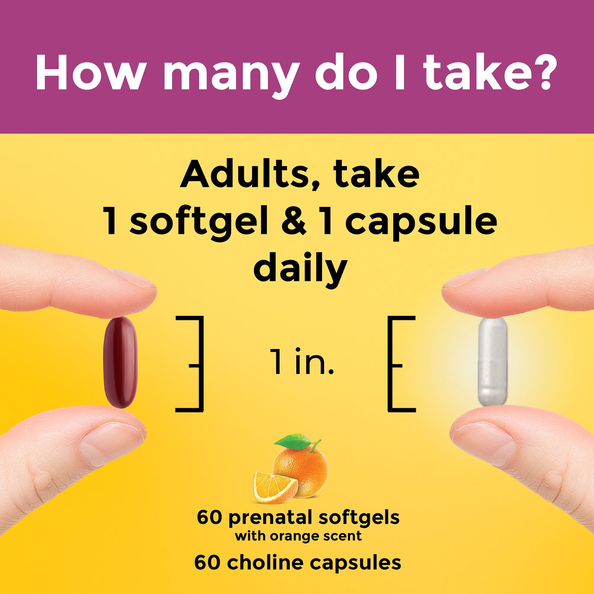 Prenatal Multivitamins + Choline Capsules