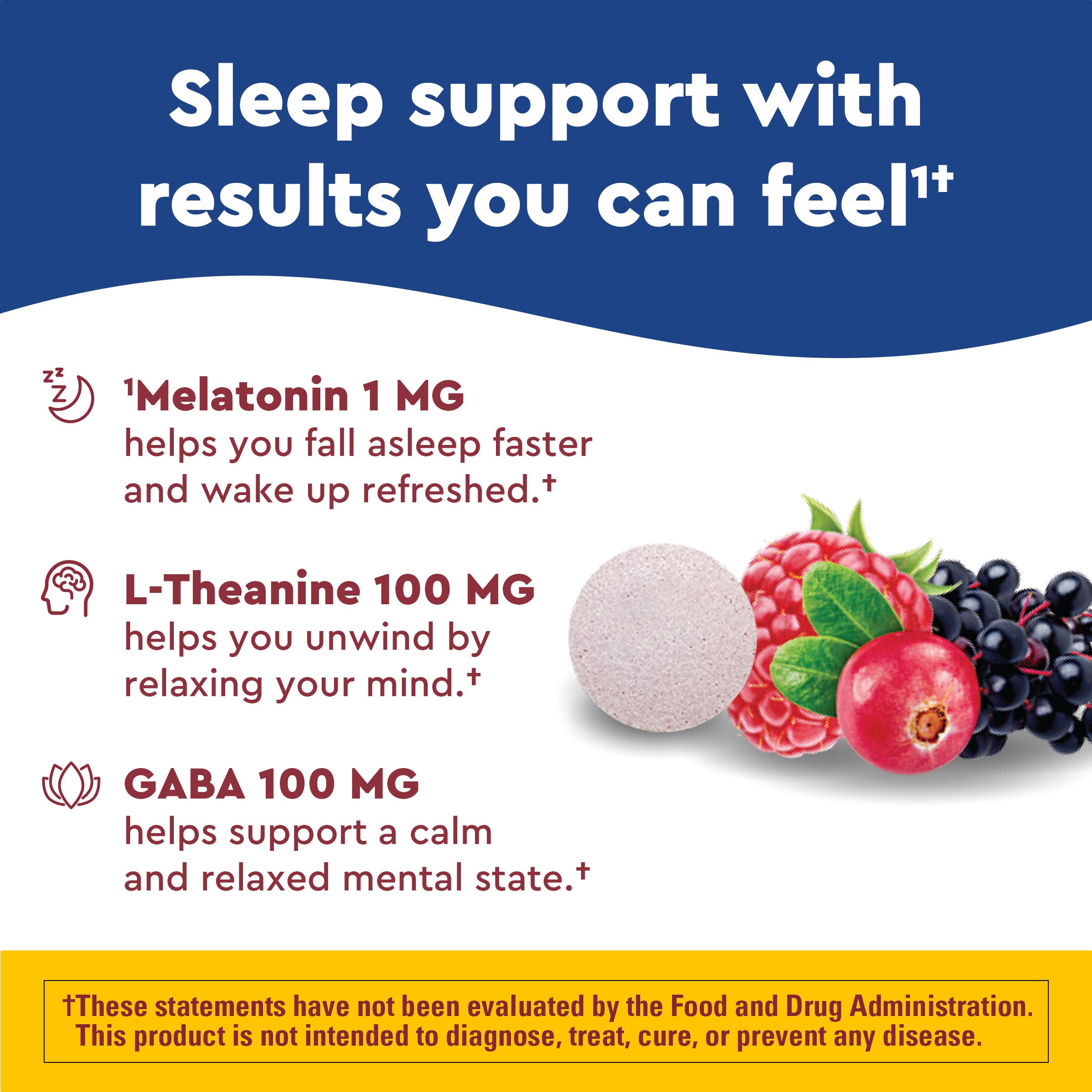 Wellblends™ Back to Sleep™ Fast Dissolve Tablets