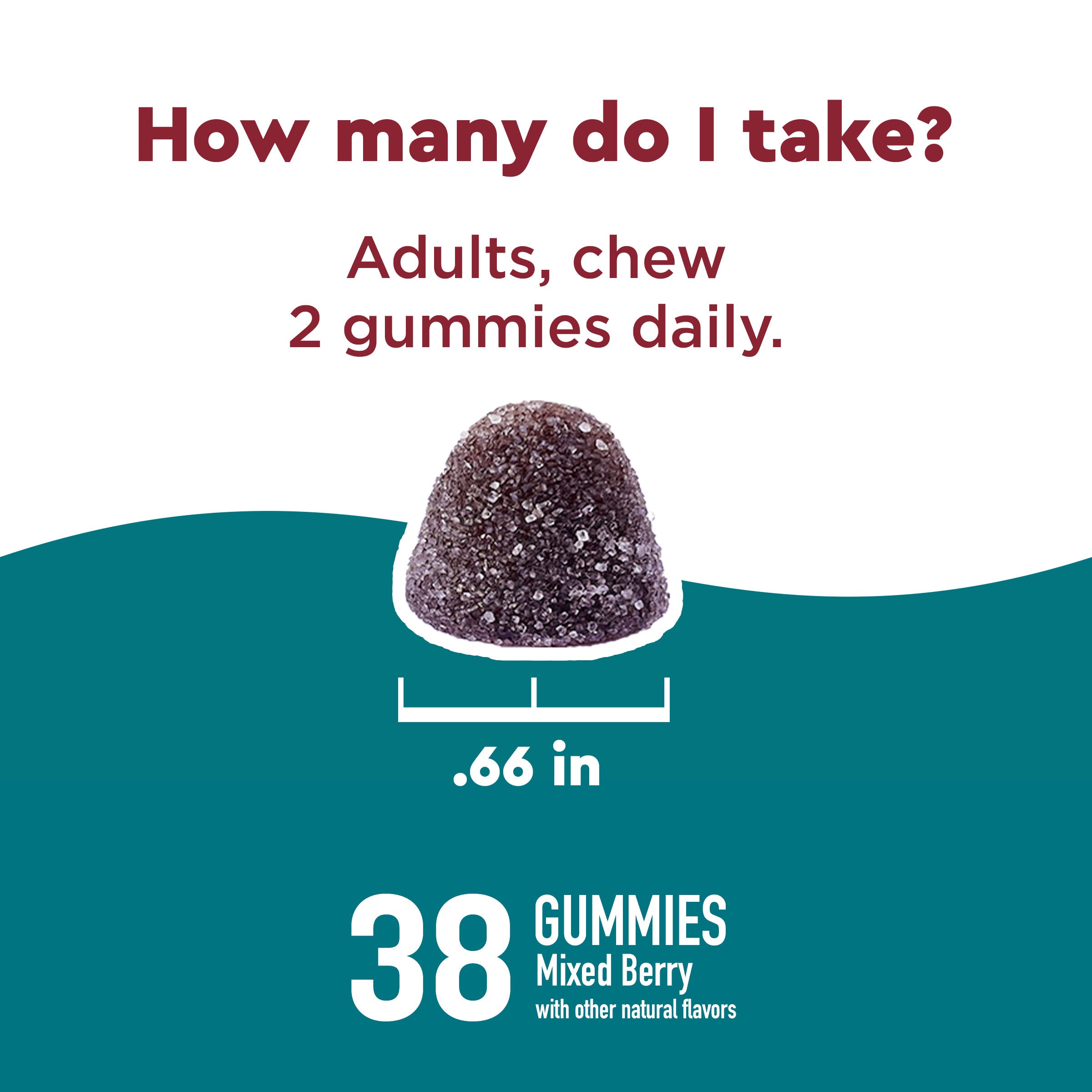 Wellblends™ Calm Mind & Body® Gummies