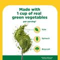SuperGreens with Prebiotic Fiber Powder Drink Mix