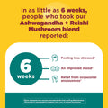 Ashwagandha + Reishi Mushroom Capsules